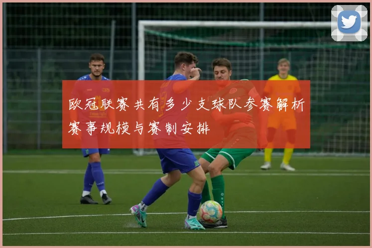 欧冠联赛共有多少支球队参赛解析赛事规模与赛制安排