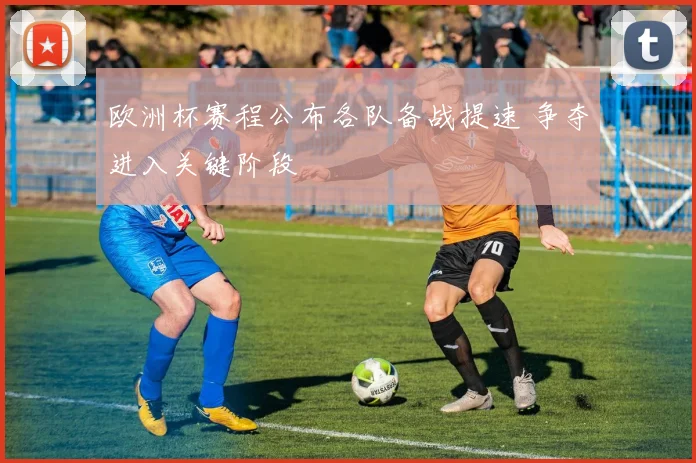 欧洲杯赛程公布各队备战提速 争夺进入关键阶段