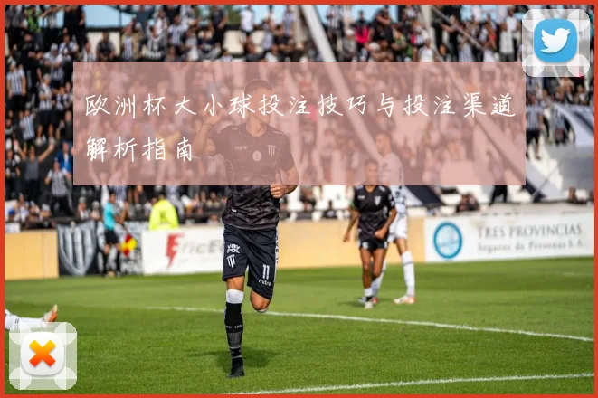 欧洲杯大小球投注技巧与投注渠道解析指南