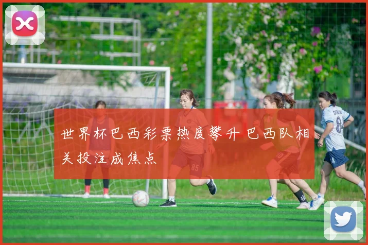 世界杯巴西彩票热度攀升 巴西队相关投注成焦点