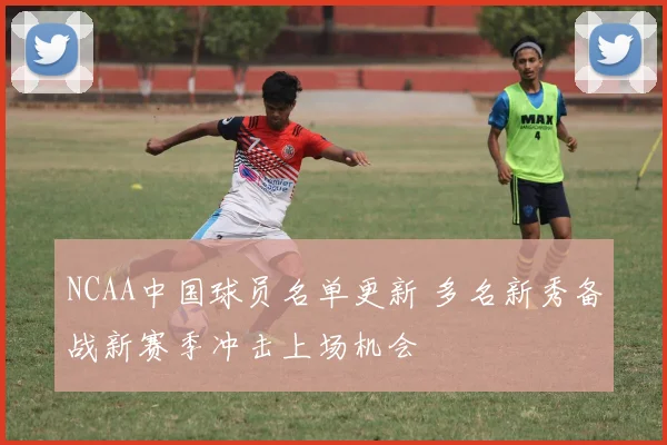 NCAA中国球员名单更新 多名新秀备战新赛季冲击上场机会