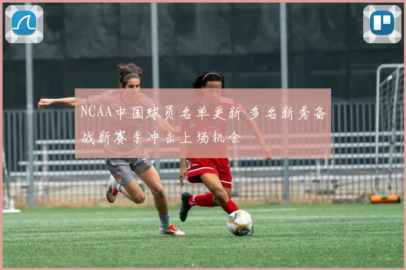 NCAA中国球员名单更新 多名新秀备战新赛季冲击上场机会