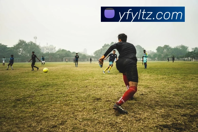 App Interface Preview